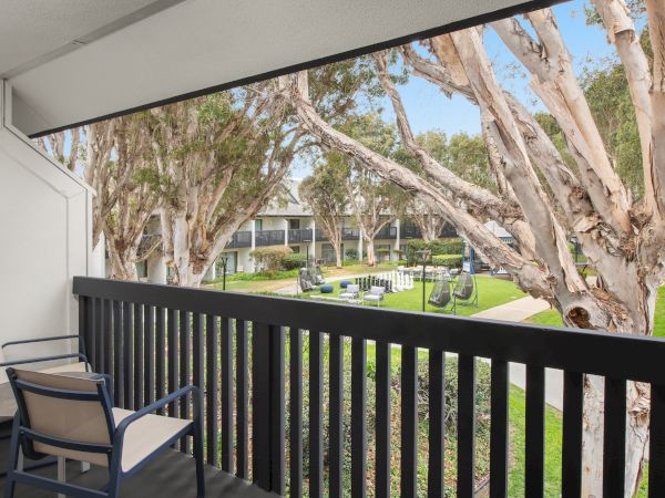 A balcony overlooks a courtyard with bright green grass, outdoor seating, and tall, peeling-trunk trees by a building.
