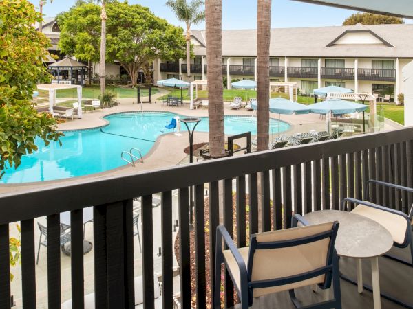 Sunny resort courtyard with a turquoise swimming pool, palm trees, and blue-cushioned loungers under shade.