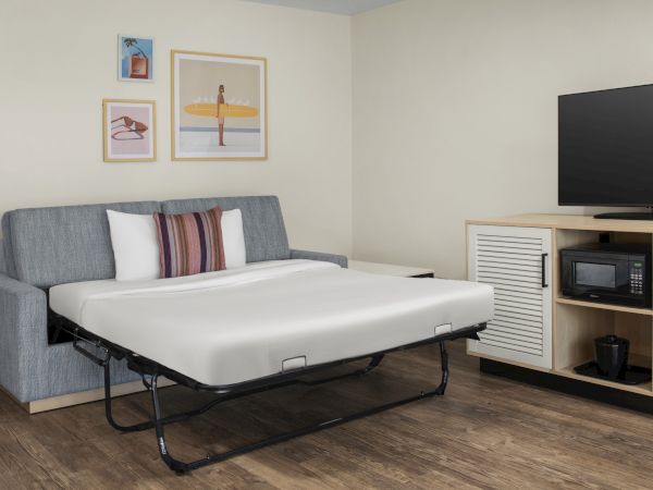 A modern hotel room with a gray sofa-bed, framed surf-themed art, a TV on a cabinet, and a microwave.