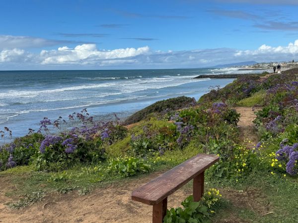 A scenic ocean coastline with waves, purple wildflowers, and a wooden bench under a cloudy blue sky.