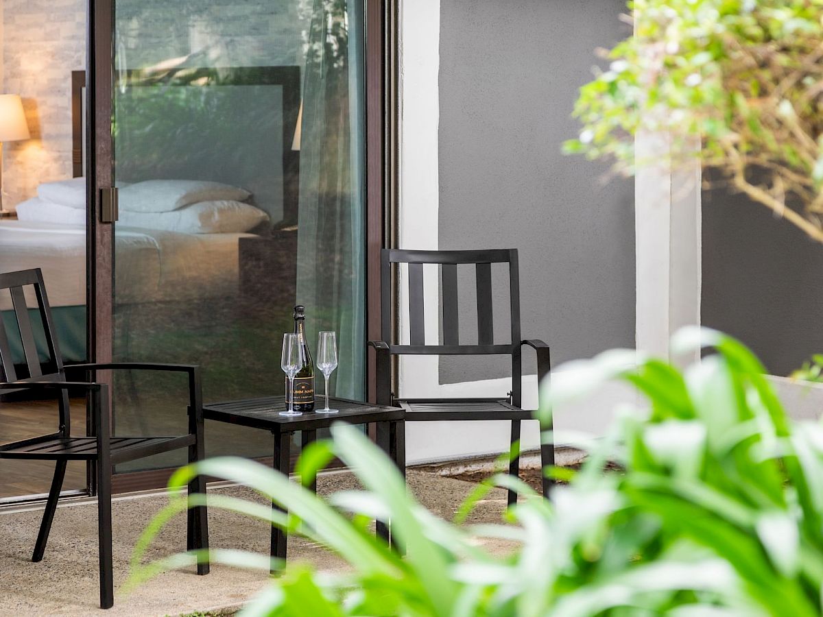 An outdoor patio table holds two wine glasses and a bottle beside chairs, with reflections in a glass door and green plants nearby.