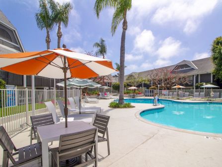 Sunny resort pool with orange-white umbrellas, lounge chairs, and palm trees under a blue sky.