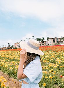A woman in a striped straw hat stands in a vibrant flower field, with palm trees and resort buildings in the background.