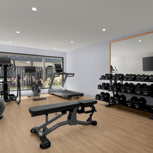 A modern gym with dumbbell racks, treadmills/fitness machines, an adjustable bench, a stability ball, and a wall TV.