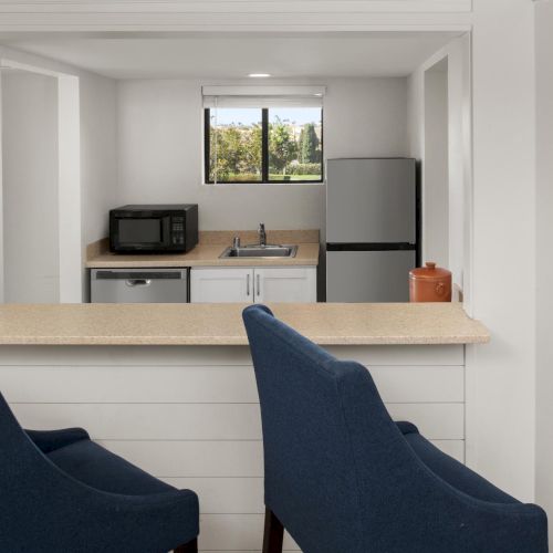 Bright modern kitchenette with granite counter, microwave, sink, mini fridge, and a window view of trees, with lamps and chairs.
