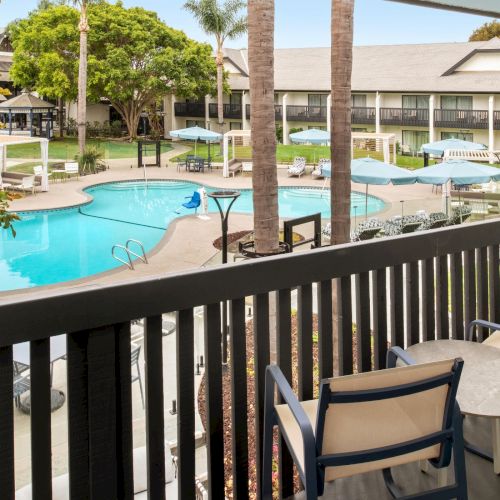 Sunny resort courtyard with a blue swimming pool, loungers, umbrellas, and palm trees under clear skies.