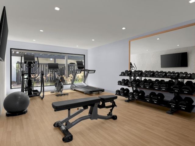 Bright gym with dumbbells on racks, cardio machines, a bench, and a wall-mounted TV.